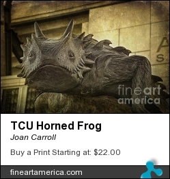 Tcu Horned Frog by Joan Carroll - Photograph - Digital Photograph