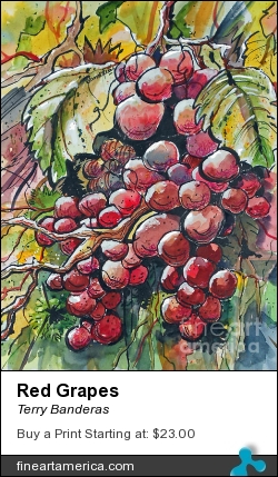 Red Grapes by Terry Banderas - Painting - Watercolor On Paper.