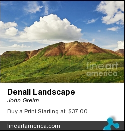 Denali Landscape by John Greim - Photograph - Photography