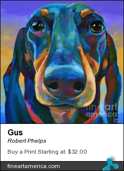 Gus by Robert Phelps - Painting