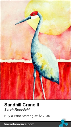 Sandhill Crane II by Sarah Rosedahl - Painting - Watercolor