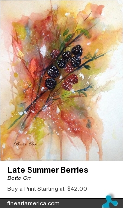 Late Summer Berries by Bette Orr - Painting - Transparent Watercolor & White Ink