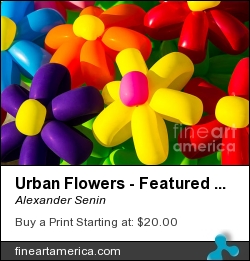Urban Flowers - Featured 3 by Alexander Senin - Photograph