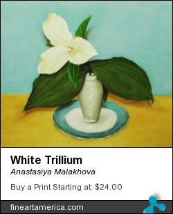 White Trillium by Anastasiya Malakhova - pastels on paper