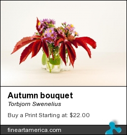 Autumn Bouquet by Torbjorn Swenelius - Photograph - Photography