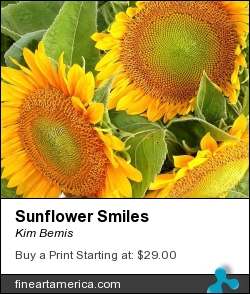 Sunflower Smiles by Kim Bemis - Photograph