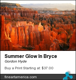 Summer Glow In Bryce by Gordon Hyde - Photograph - Photograph