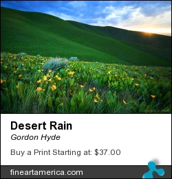Desert Rain by Gordon Hyde - Photograph - Photo