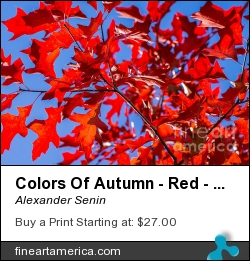 Colors Of Autumn - Red - Featured 3 by Alexander Senin - Photograph