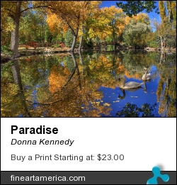 Paradise by Donna Kennedy - Photograph - Photograph-hdr