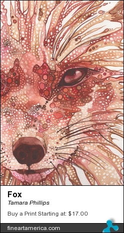 Fox by Tamara Phillips - Painting - Watercolour