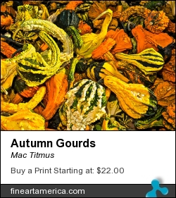 Autumn Gourds by Mac Titmus - Digital Art - Photography
