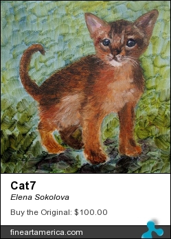 Cat7 by Elena Sokolova - Painting - Oil On Canvas