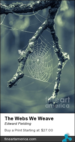 The Webs We Weave by Edward Fielding - Photograph - Photography