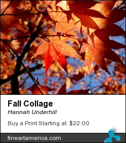 Fall Collage by Hannah Underhill - Digital Art - Digital
