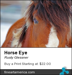 Horse Eye by Rusty Glessner - Photograph - Photograph