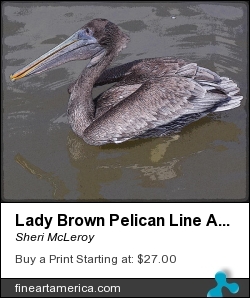 Lady Brown Pelican Line Art by Sheri McLeroy - Photograph - Photography