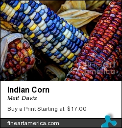 Indian Corn by Matt Davis - Photograph - Hdr Images, Digital Art, Photography