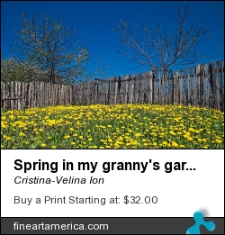 Spring In My Granny's Garden by Cristina-Velina Ion - Photograph - Photograph - Photography