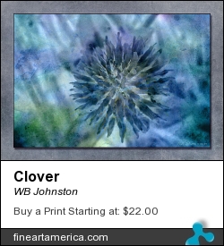 Clover by WB Johnston - Photograph - Digital Photography