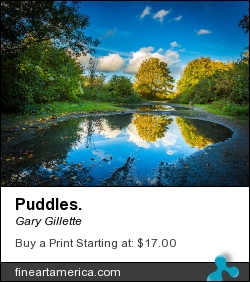 Puddles. by Gary Gillette - Photograph - Photograph