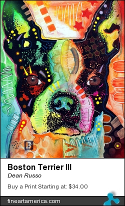 Boston Terrier IIi by Dean Russo - Painting - Fine Art Print