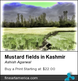Mustard Fields In Kashmir by Ashish Agarwal - Digital Art - Digital Oil Painting