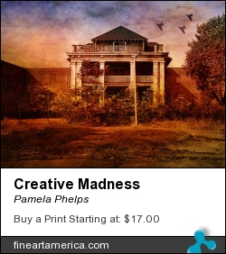 Creative Madness by Pamela Phelps - Photograph - Textured Photography