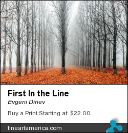 First In The Line by Evgeni Dinev - Photograph