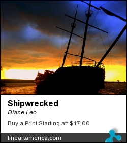 Shipwrecked by Diane Leo - Photograph - Photograph