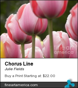 Chorus Line by Julie Fields - Digital Art - Digital Photography