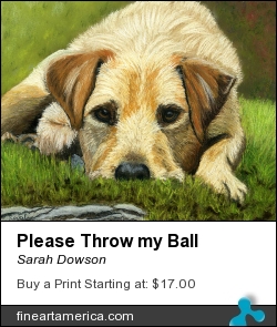Please Throw My Ball by Sarah Dowson - Painting - Pastel
