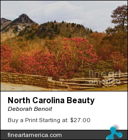 North Carolina Beauty by Deborah Benoit - Photograph - Original Photography By Deborah Benoit