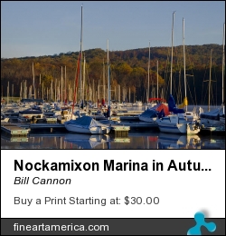 Nockamixon Marina In Autumn by Bill Cannon - Photograph - Photo