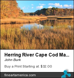 Herring River Cape Cod Marsh Grass Autumn by John Burk - Photograph