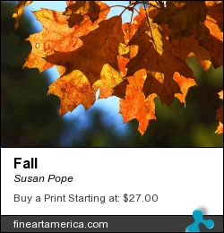 Fall by Susan Pope - Photograph - Photograph