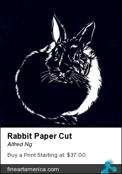 Rabbit Paper Cut by Alfred Ng - Mixed Media - Paper Cut On Paper