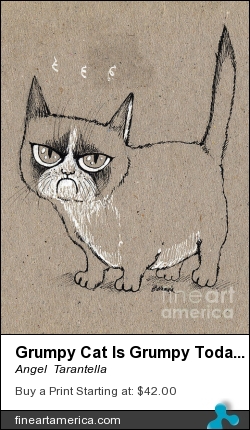 Grumpy Cat Is Grumpy Today by Angel Tarantella - Drawing - Pen Drawing
