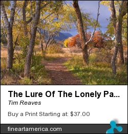The Lure Of The Lonely Pathway by Tim Reaves - Photograph - Photography