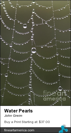 Water Pearls by John Greim - Photograph - Photography