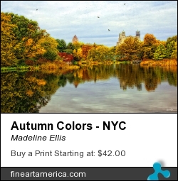 Autumn Colors - Nyc by Madeline Ellis - Photograph - Photography