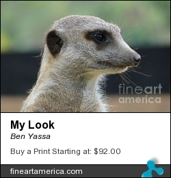 My Look by Ben Yassa - Photograph