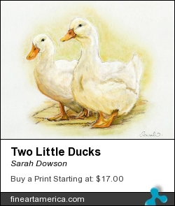 Two Little Ducks by Sarah Dowson - Painting - Pastel