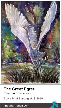 The Great Egret by Katerina Kovatcheva - Painting - Watercolor