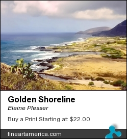 Golden Shoreline by Elaine Plesser - Painting