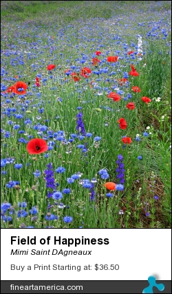 Field Of Happiness by Mimi Saint DAgneaux - Photograph - Photograph