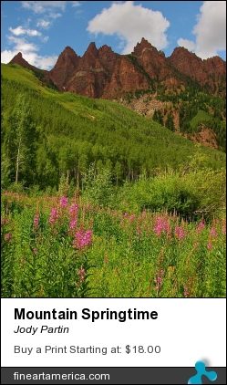Mountain Springtime by Jody Partin - Photograph - Photograph
