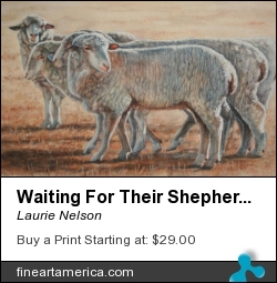 Waiting For Their Shepherd by Laurie Nelson - Painting - Watercolor