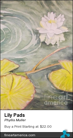 Lily Pads by Phyllis Muller - Painting - Watercolor