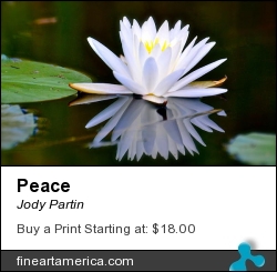 Peace by Jody Partin - Photograph - Photograph